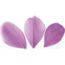 NC 50 Plumes Coupées Mauve 6 Cm