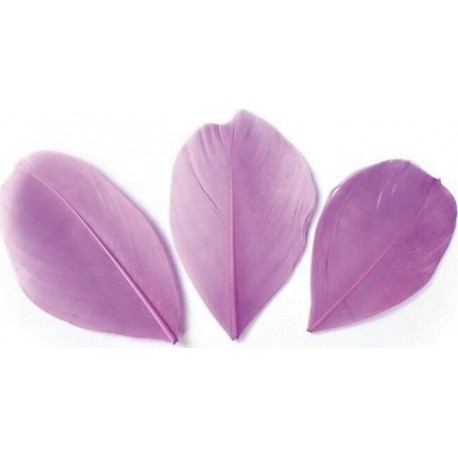 NC 50 Plumes Coupées Mauve 6 Cm