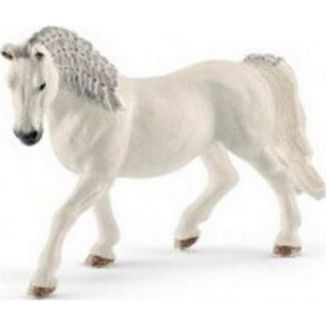 NC 13819 Jument Lipizzan