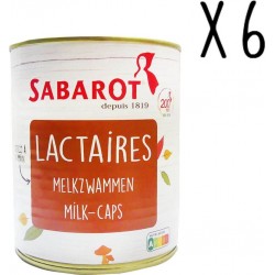 Sabarot Lot X6 Lactaires Conserve 395g les 6 boîtes de 395g