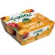 FRUIVAL Compote pomme abricot les 4 pots de 100g