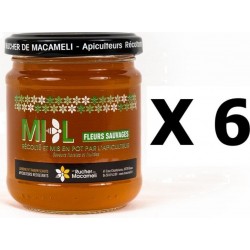 NC Lot 6x Miel De Fleurs Sauvages Monts Du Lyonnais Rhône Alpes Le Rucher De Macameli Pot 250g les 6 unités de 0.25Kg