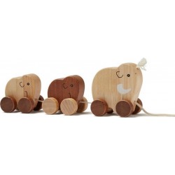 Mammouth Concept Pour Enfants Draught Animal Famille Nature Neo