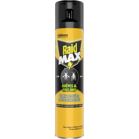 RAID Insecticide Aérosol Guêpes & Frelons 300ml