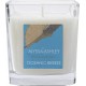 NC Bougie Parfumée Alyssa Ashley Oceanic Breeze 145g