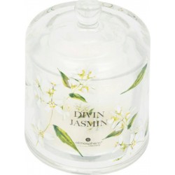 NC Bougie Parfumée oudy 240g Divin Jasmin