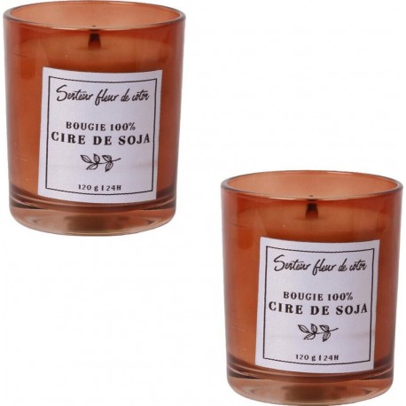 NC Lot De 2 Bougies Parfumées À La Cire De Soja Senteur Fleur De Coton Mèche Bois