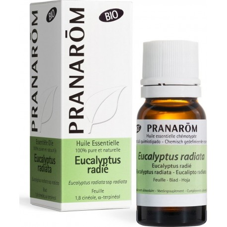 PRANAROM Huile Essentielle d'Eucalyptus Radié Bio 10ml