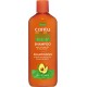 CANTU Shampoing Hydratant Nourrit & Adoucit Cheveux Secs Et Cassants À L'Huile D'Avocat Et Au Beurre De Karité Avocado 400ml