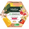 VITAFLOR Complément alimentaire gelée royale énergie+ Bio 20 ampoules