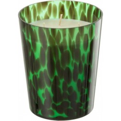 NC Bougie Parfumée noa 16cm Bois De Santal Vert