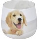 Bougie Anti-odeurs chien 8cm Blanc