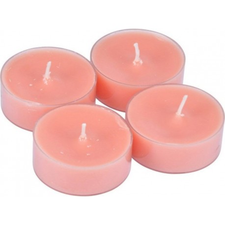 NC Lot De 4 Bougies Parfumées Chauffe-plat trendie Gingembre Orange