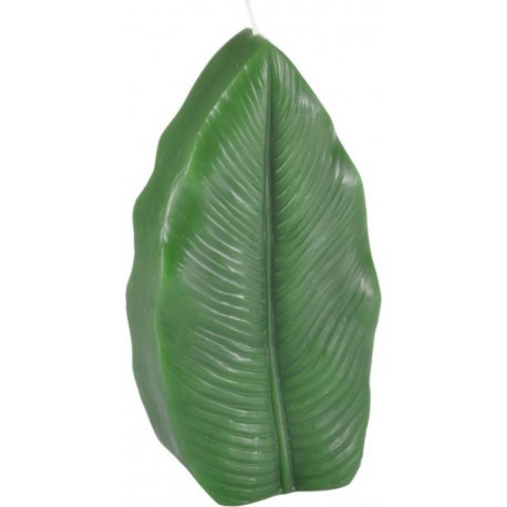 Bougie Feuille jardin D'hiver 18cm Vert Foncé