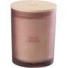 NC Bougie Parfumée accords Essentiels 14cm Figue Frivole