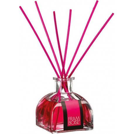 Mikado Diffuseur D'armes Modèles Assortis 100ml