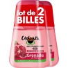 USHUAIA Déodorant bille Anti-humidité Anti-odeur 48h Grenade lot de 2 roll-on