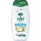 L'ARBRE VERT BIEN -ETRE L'ARBRE VERT BIEN - ETRE Gel Douche Parfum Eau de Coco PH Neutre et Hypoallergénique 260ml