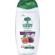 L'ARBRE VERT BIEN -ETRE L'ARBRE VERT BIEN - ETRE Gel Douche Parfum Figue PH Neutre et Hypoallergénique 260ml