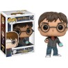 FUNKO Figurine POP! Harry Potter Harry Potter et la prophétie N° 32