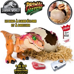 SPIN MASTER Primal Hatch Dino intéractif éclosion secrète