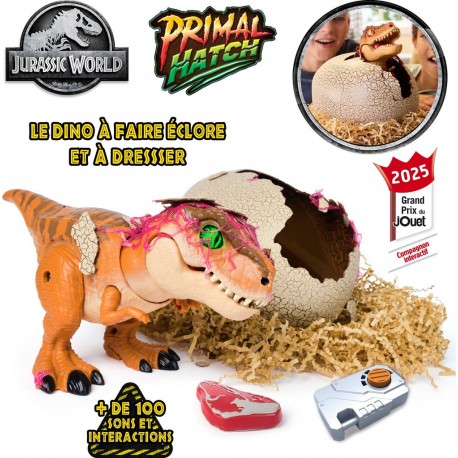 SPIN MASTER Primal Hatch Dino intéractif éclosion secrète