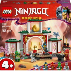 LEGO 71831 Ninjago Le Temple de Spinjitzu des Ninjas