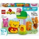 LEGO 10457 Duplo L'Anniversaire de Winnie l'Ourson