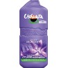 USHUAIA Gel Douche Délassante Ylang Anti-Dessèchement