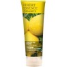 Desert Essence Lemon Tea Tree Shampoo 237 Ml Shampoing Unisexe