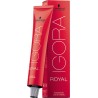 ASDISCOUNT Coloration Igora Royal Teinte 9,5-49