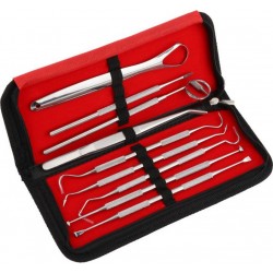 INF Outils De Soins Dentaires 9 Pièces Avec Étui Silver