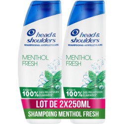 HEAD & SHOULDERS Shampoing Antipelliculaire Menthol Fresh