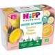 HIPP BIOLOGIQUE SAVEURS DU MONDE FRUIT BANANE & MANGUE & POIRE 4x100g 400g