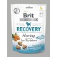 Brit Friandise Snack Recuperation Hareng