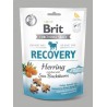 Brit Friandise Snack Recuperation Hareng