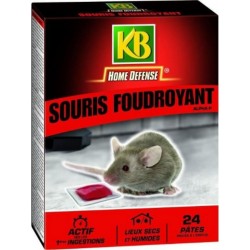 KB Souris Foudroyant Pates 240g
