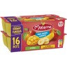 MATERNE Yaourt Fruité Sans sucre ajoutés Pomme Banane Mangue