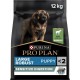 Purina PROPLAN Proplan Puppy Large Robust Sensitive Digestion Agneau 12Kg