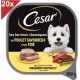 CESAR Barquettes Au Poulet Et Au Foie En Terrine Pour Chien 20x300g