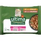 ULTIMA Pâtée Pour Chat Junior En Sauce Poulet Saumon Expert Nutrition