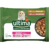 ULTIMA Pâtée Pour Chat Junior En Sauce Poulet Saumon Expert Nutrition