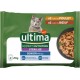 ULTIMA Pâtée Pour Chat Adulte Stérilisé Poulet Boeuf