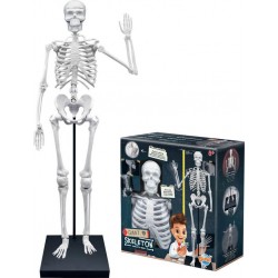 BUKI SQUELETTE 85 CM