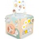 JANOD MAXI CUBE MULTI ACTIVITES