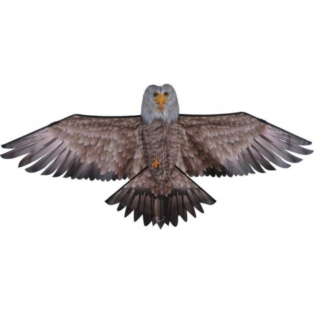 SIDJ CERF VOLANT AIGLE