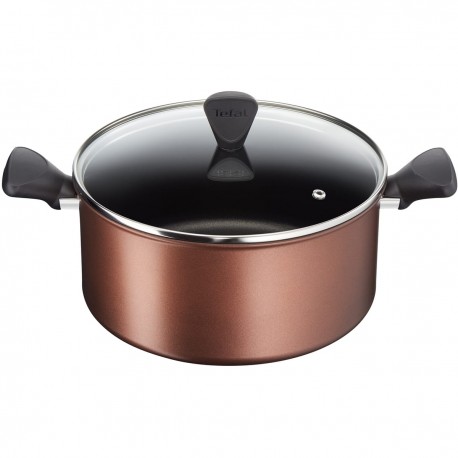 TEFAL Faitout 24cm (5 L) + couvercle RESOURCE Marron Induction FIXE