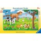 Ravensburger Puzzle cadre 15 pièces - Affectueux animaux