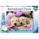 Ravensburger Puzzle 300 p XXL - Mignons chiots dans la corbeille