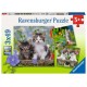 Ravensburger Puzzles 3x49 pièces - Chatons tigrés